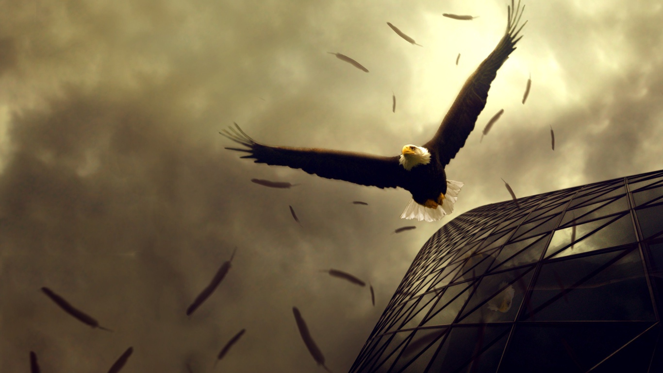 Полет орлов