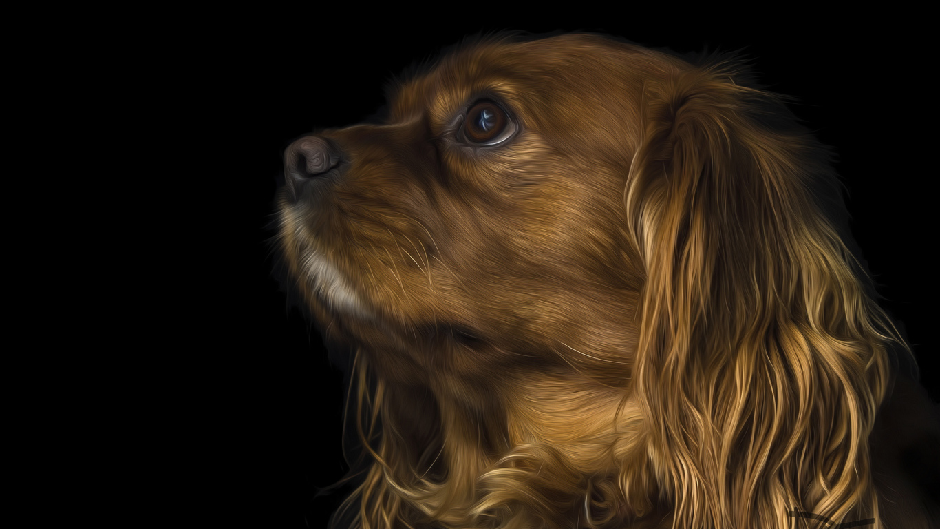 Коричневый кавалер кинг чарльз спаниель