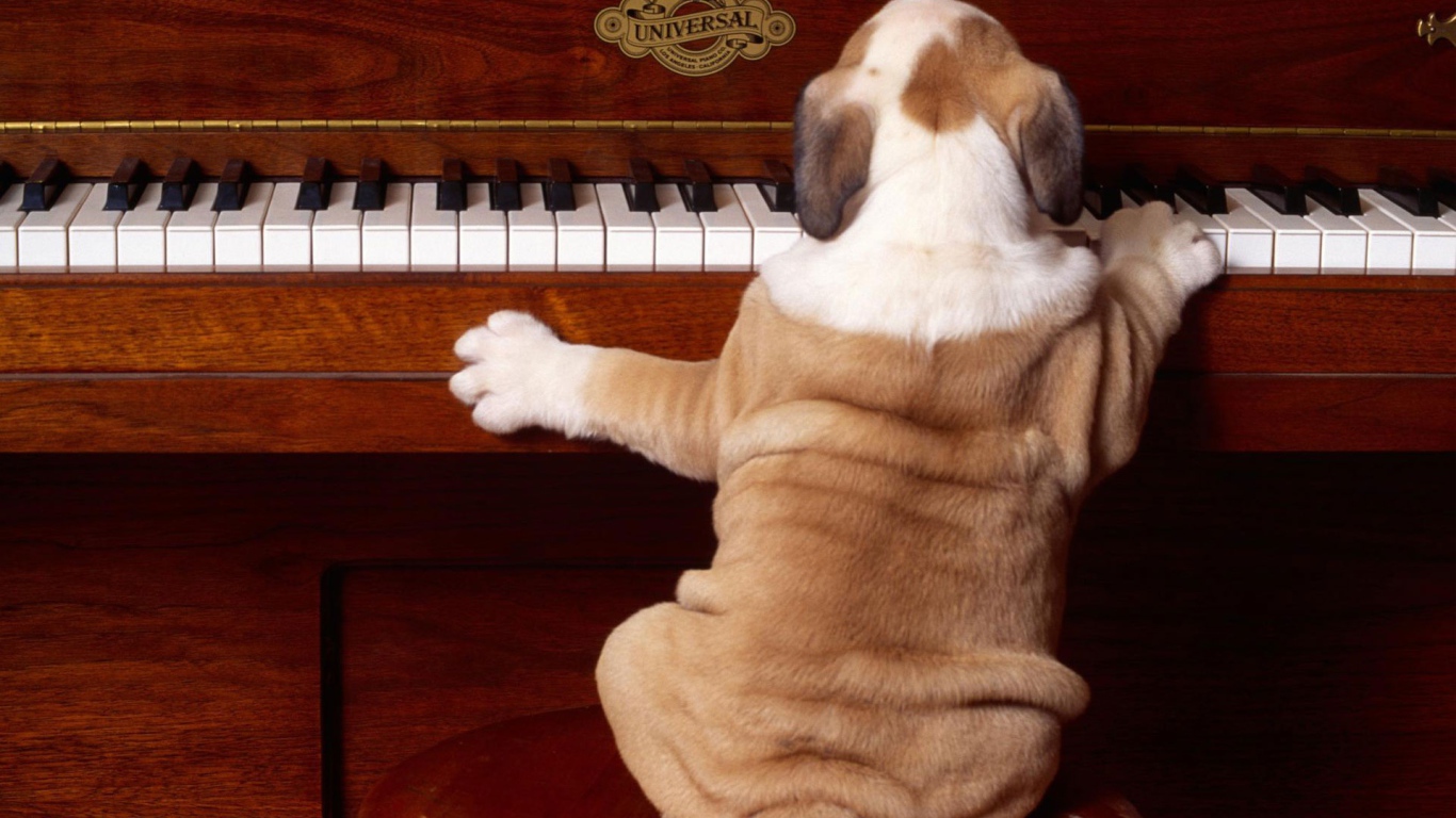 Сыграй снова 