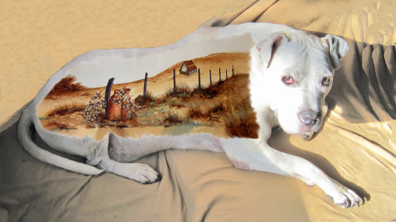 Картина на спине американского стаффордширского терьера