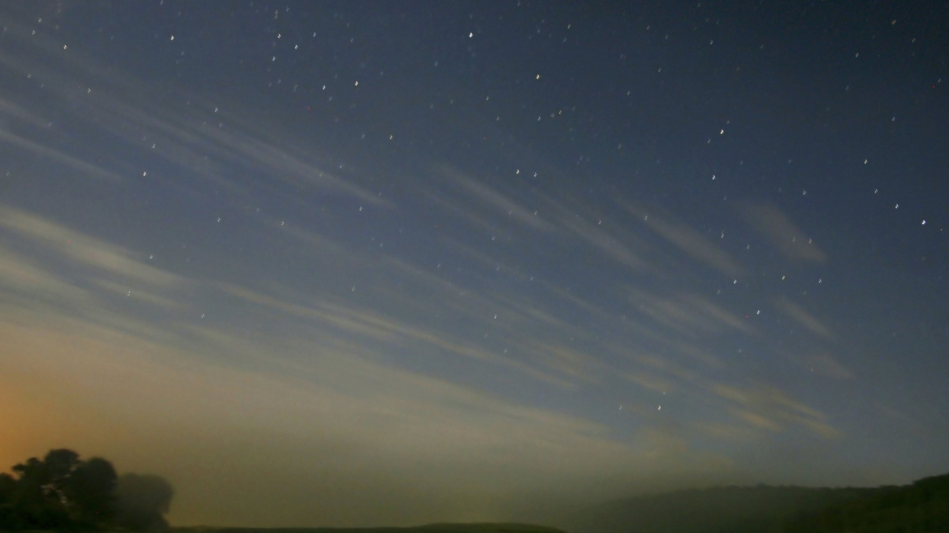 Лошади под звездным небом