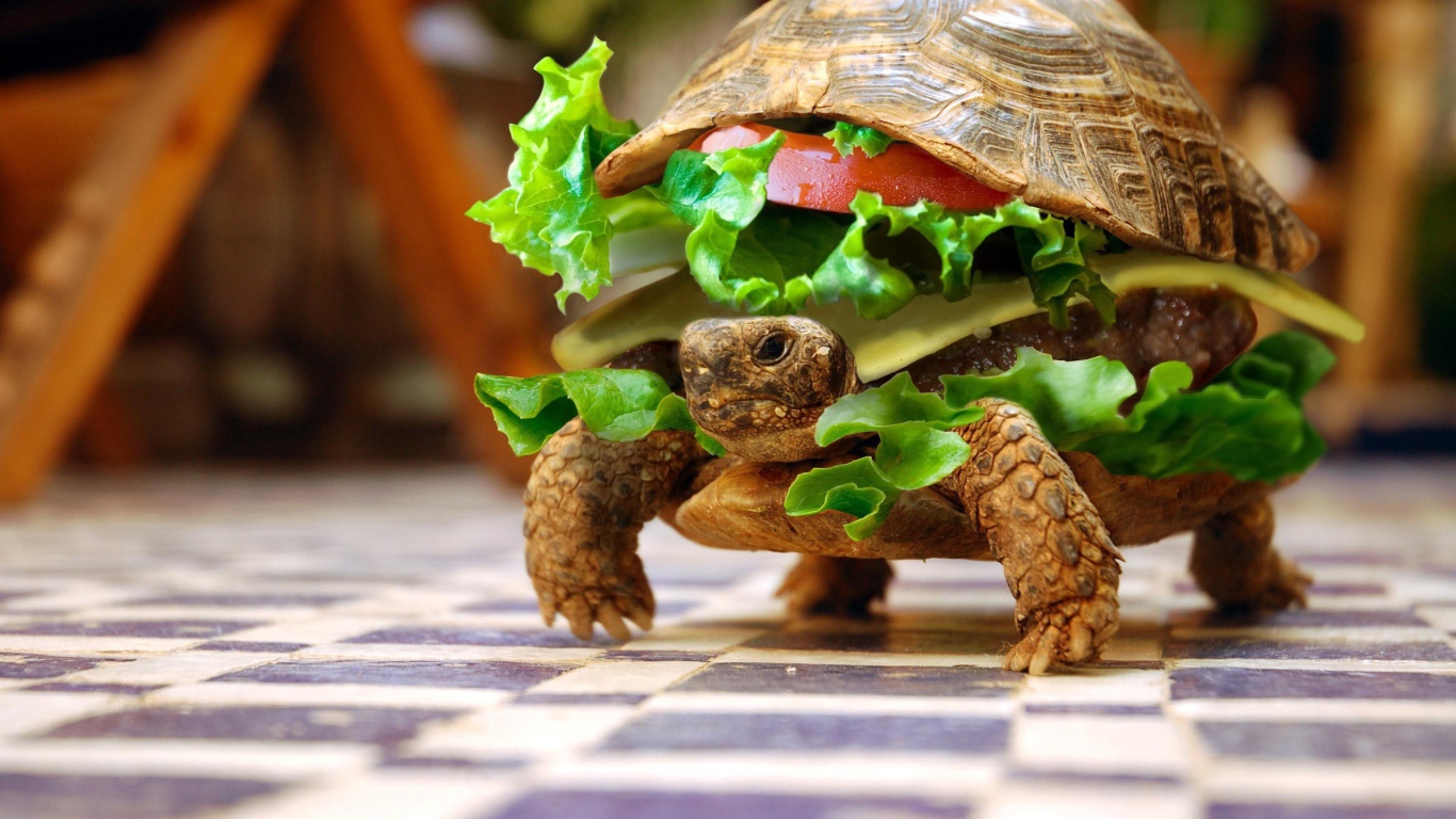 Черепаха чизбургер