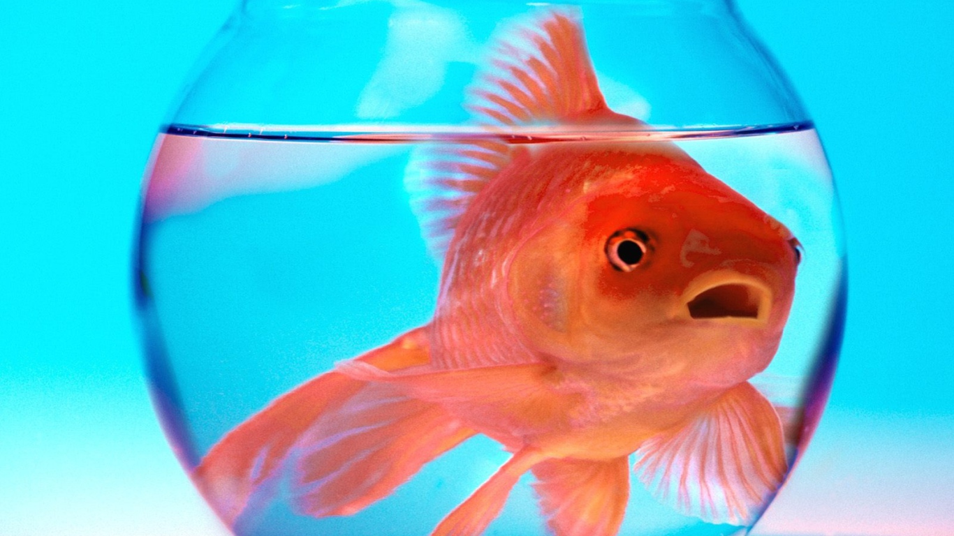 Не волнуйся