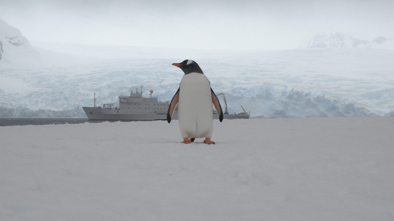 Единственный пассажир с корабля