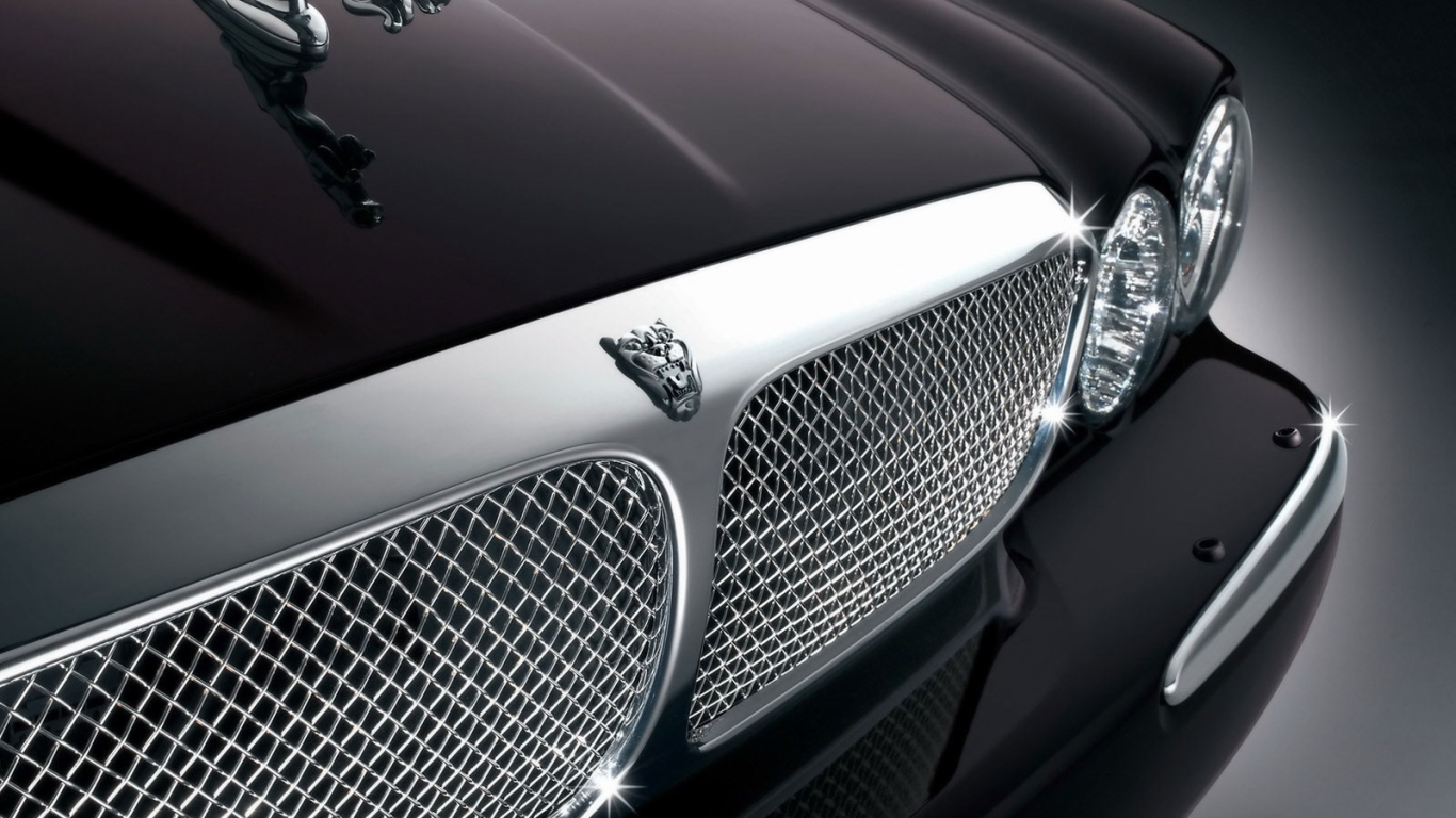 Передок Ягуара