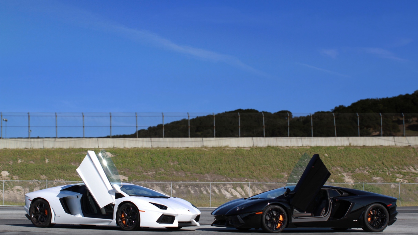 Белый и черный ламборджини