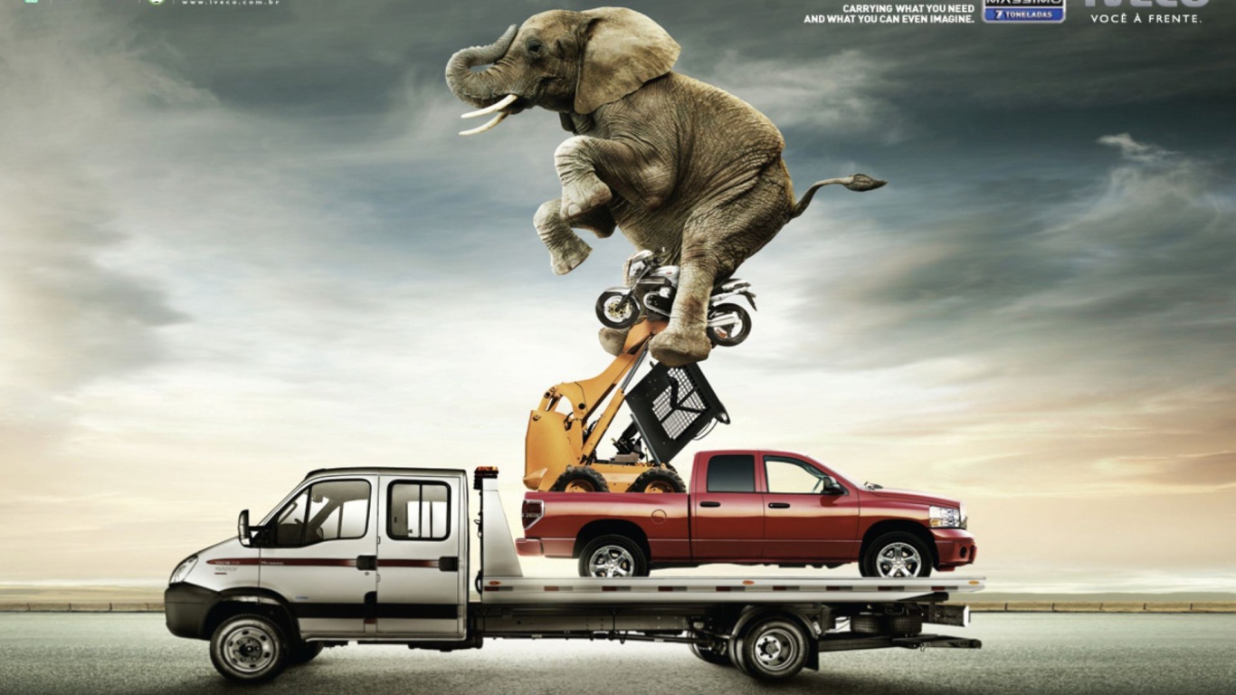 Слон на автомобиле