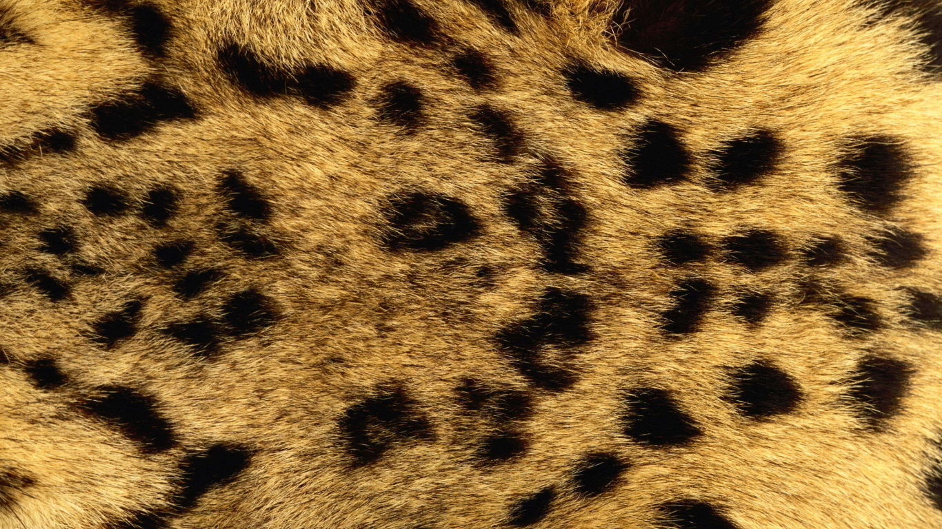 Мех леопарда