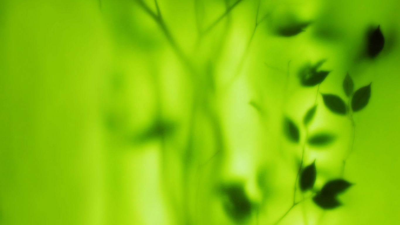 Растение за зеленым стеклом