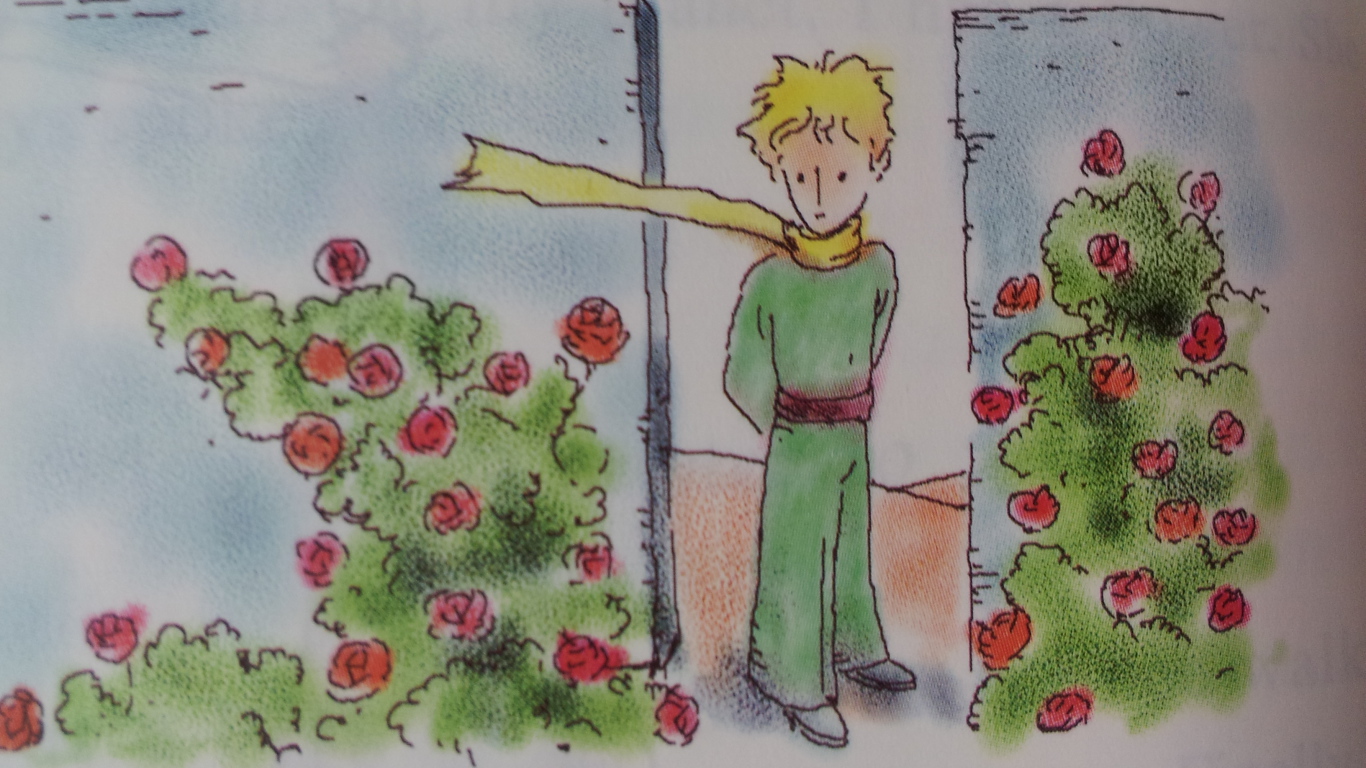 Книга о приключениях маленького принца