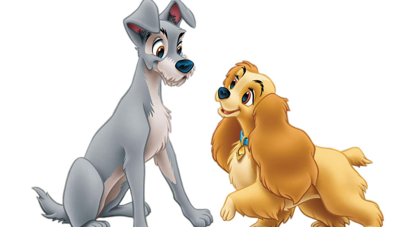 Леди и бродяга