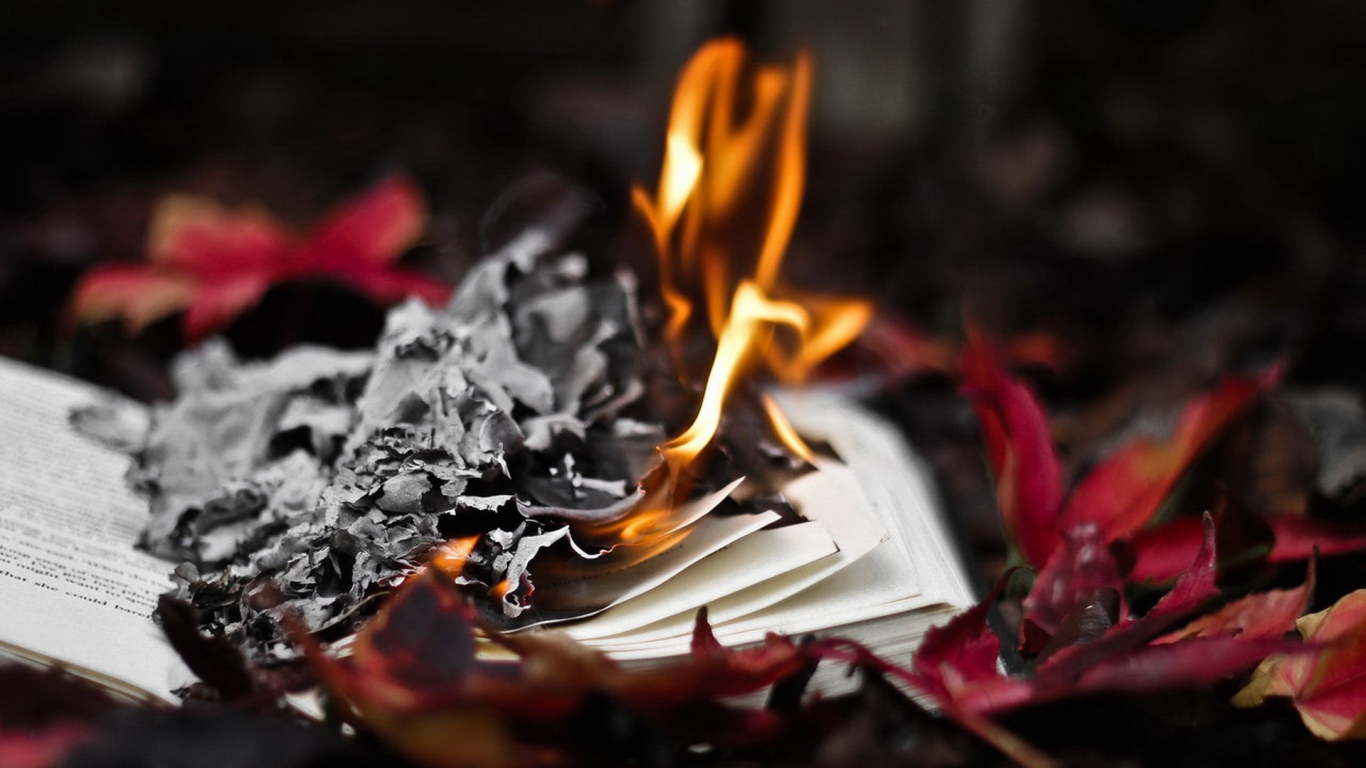 Горит книга в осенних листьях