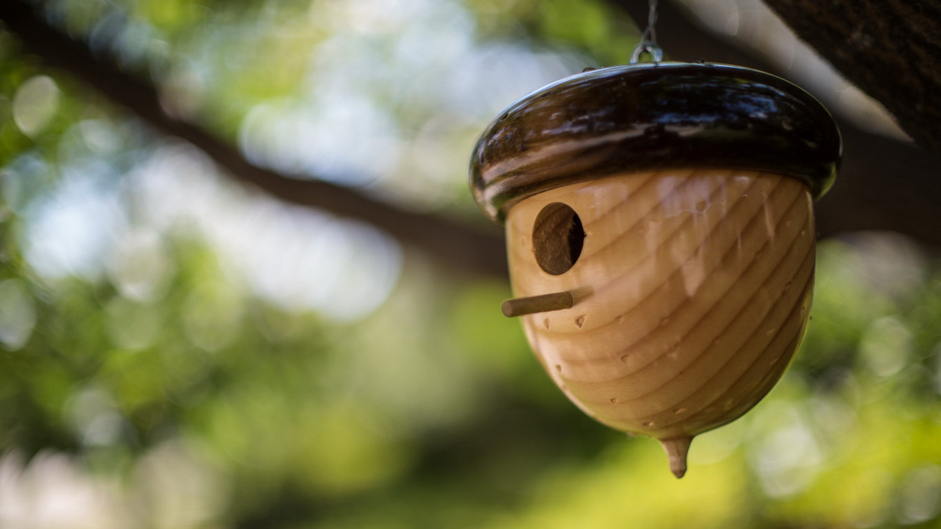 Домик в форме желудя