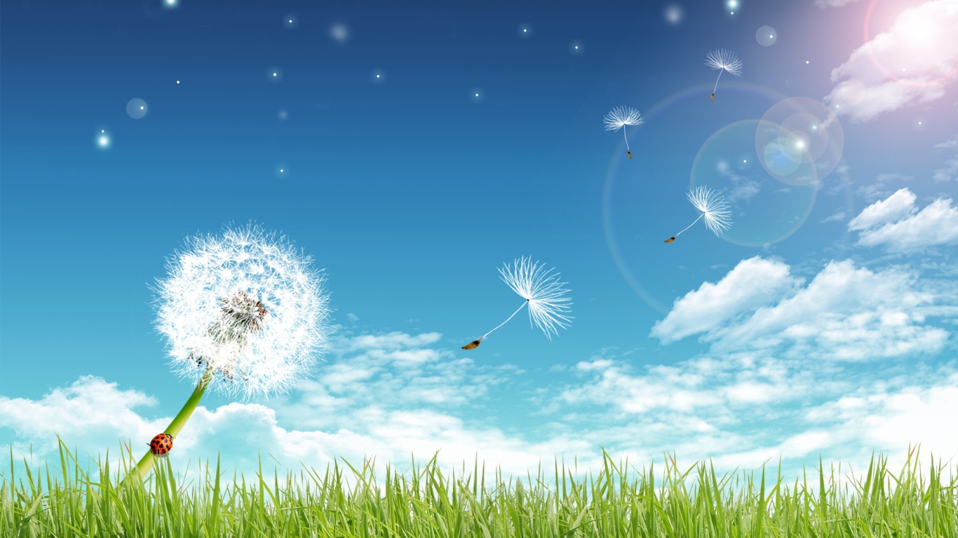 Чистые лучи солнца