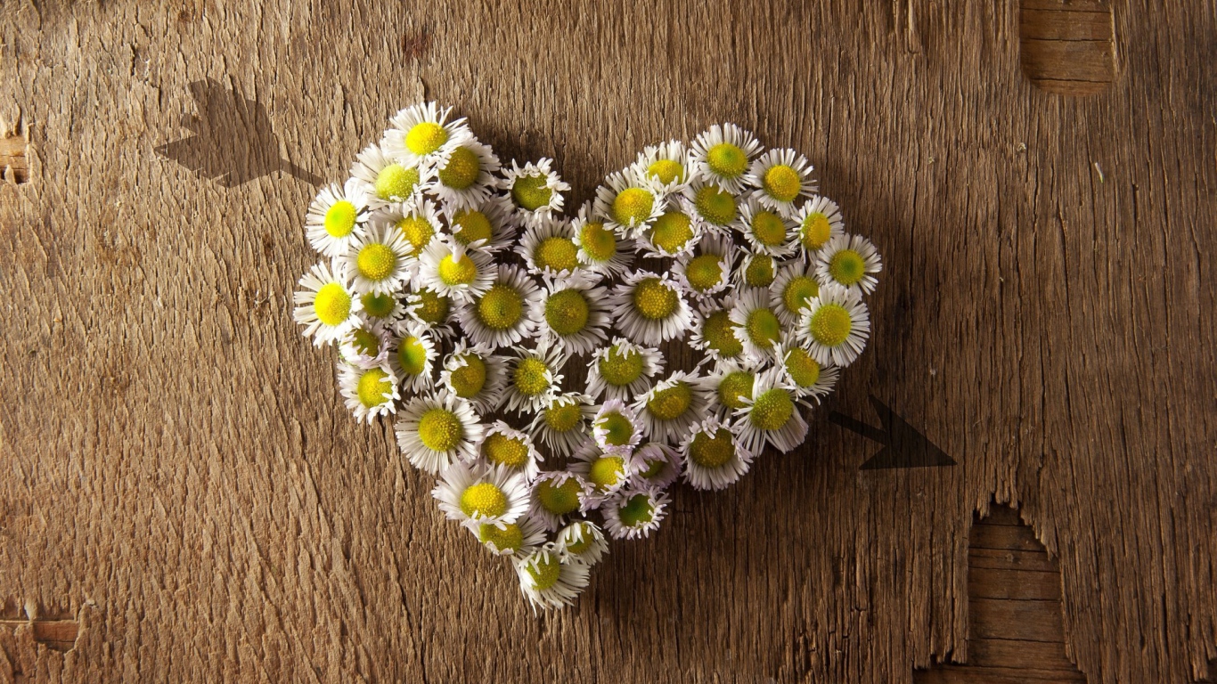 Сердечко из ромашек