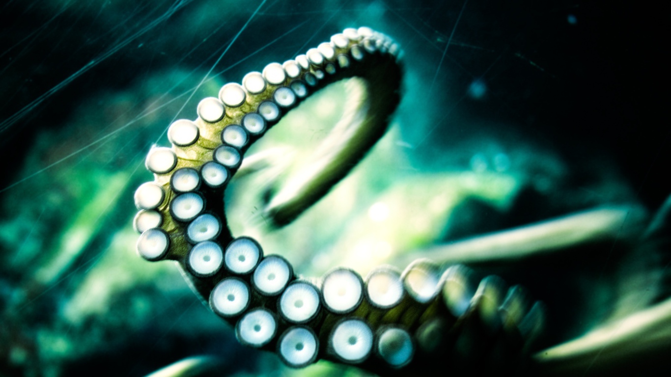 Отпустите кракена