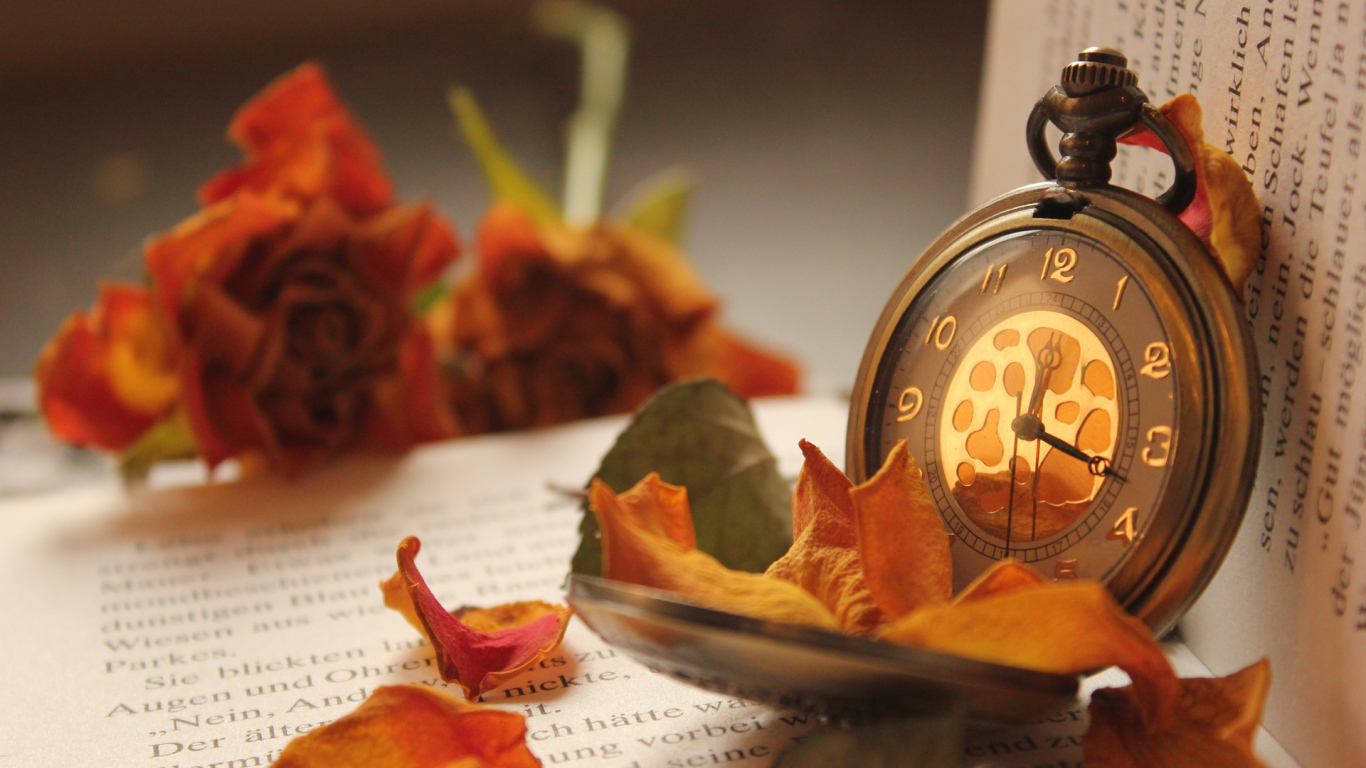 Карманные часы на книге