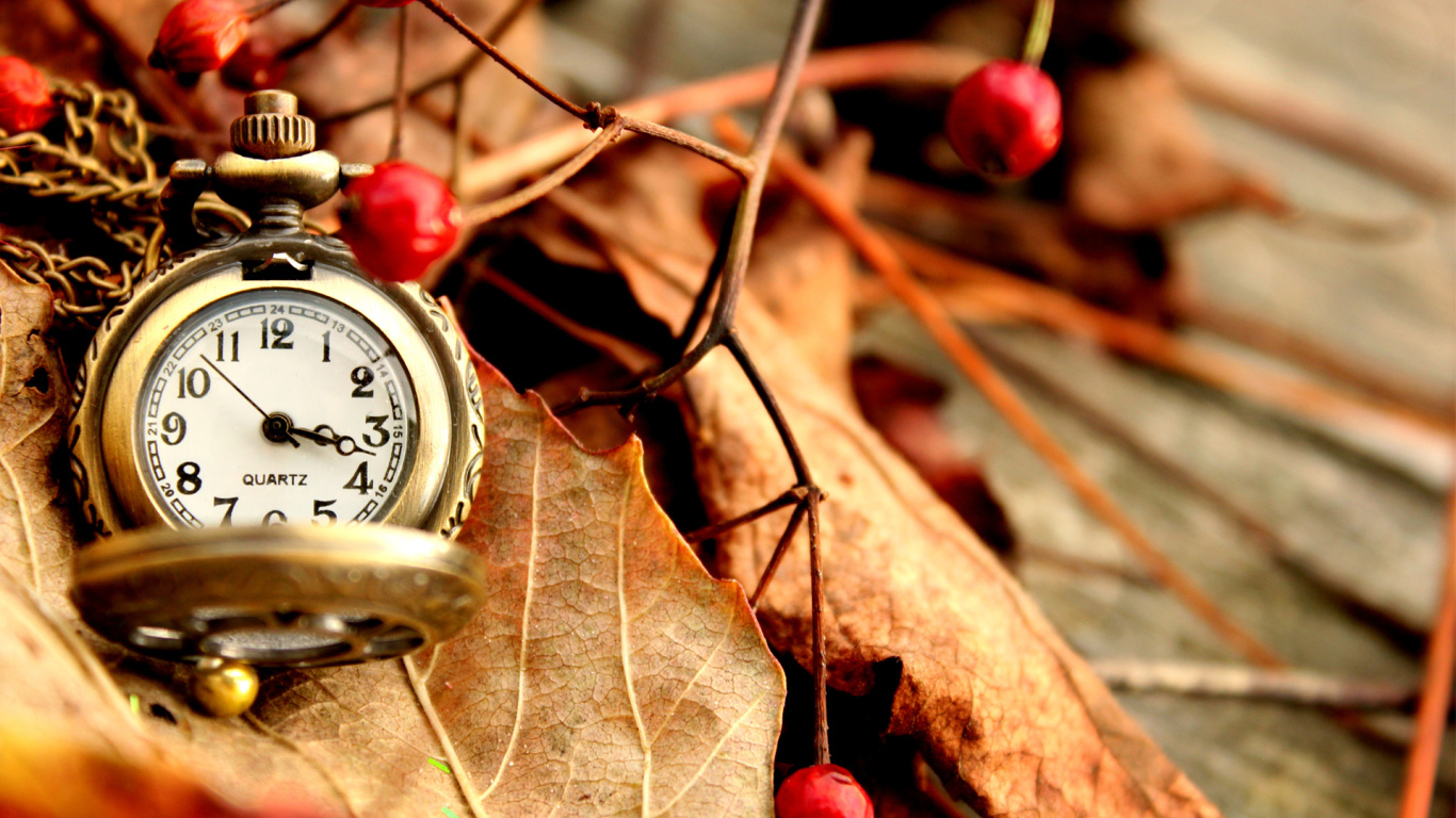 Карманные часы на сухих листьях