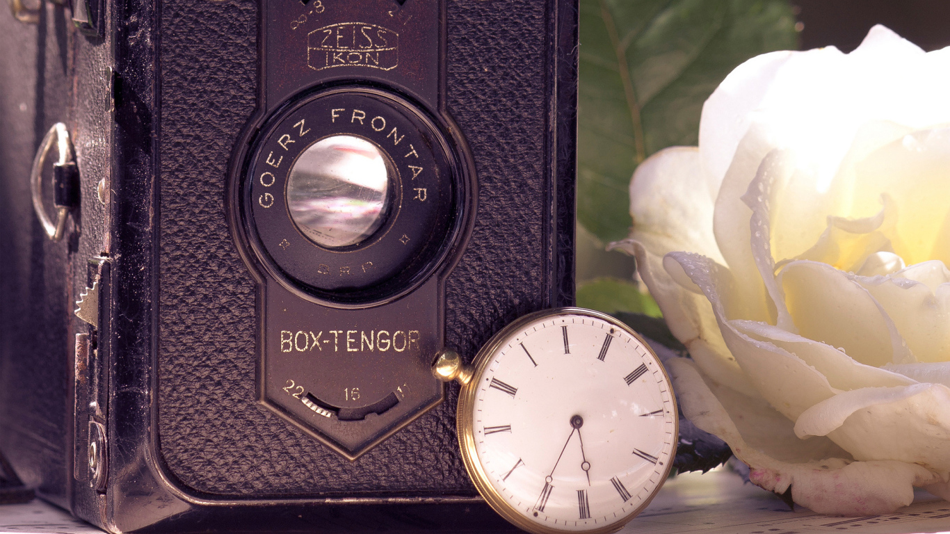 Ретро фотоаппарат и роза