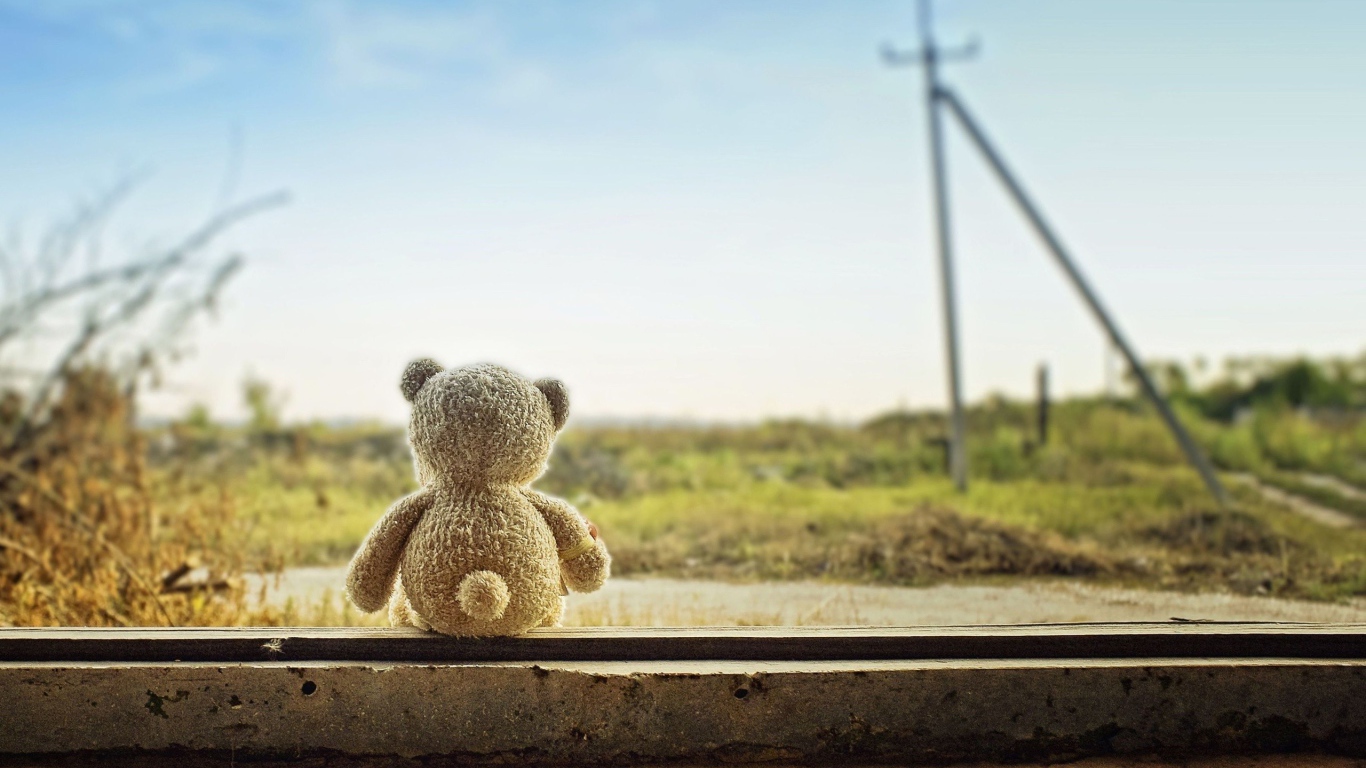 Мишка ждет свою хозяйку