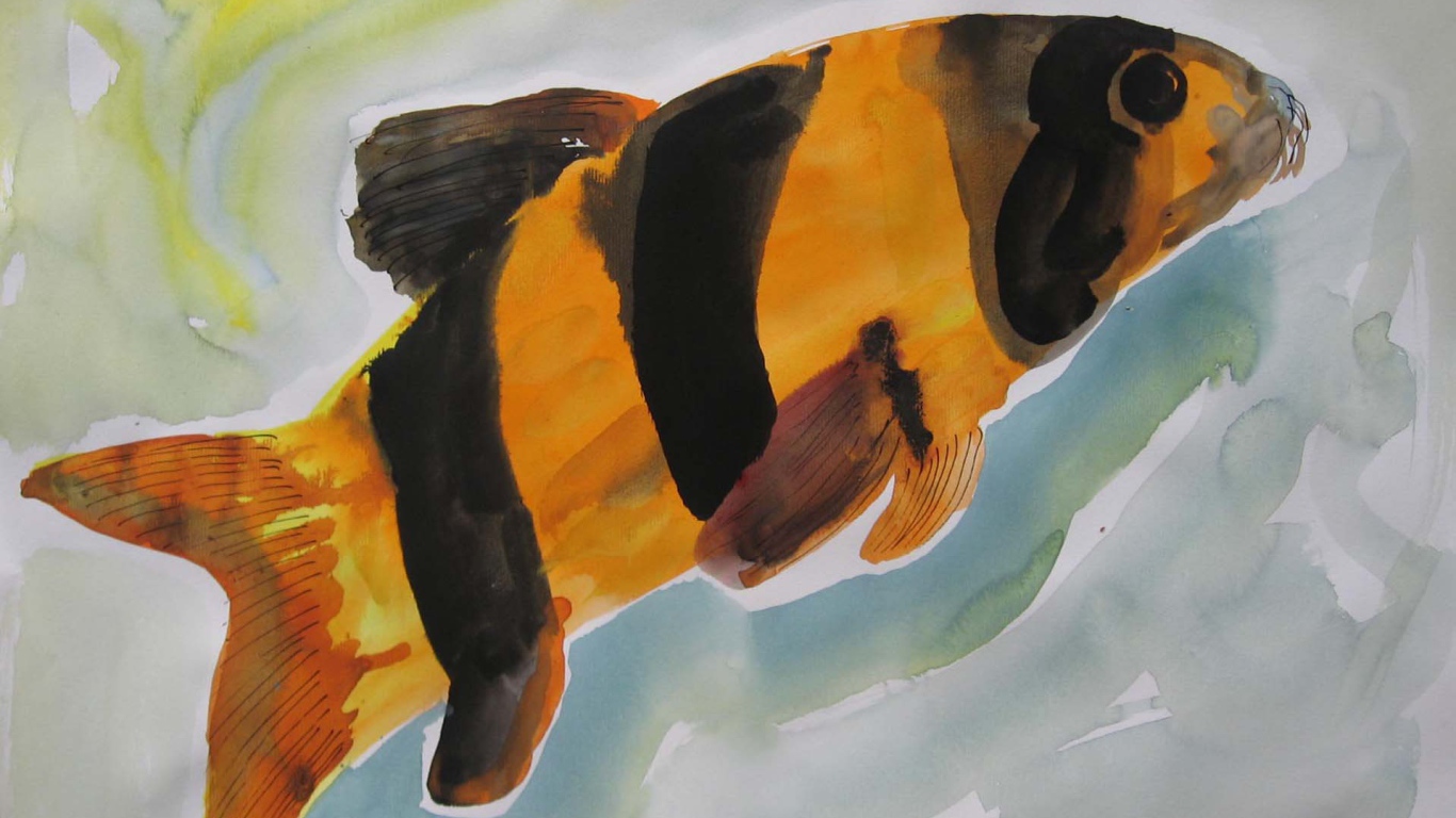 Картинка Марлен Дюма - Красочная рыба