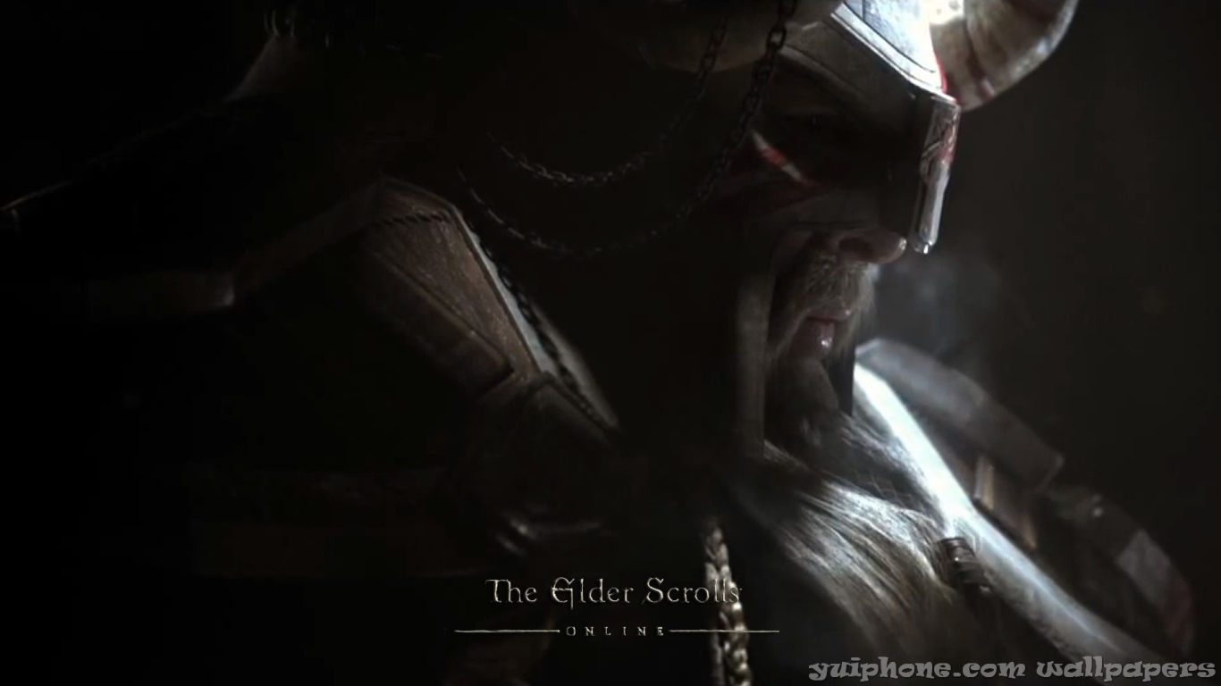 Закаленный в боях викинг