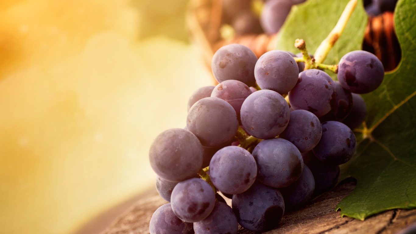 Гроздь красного винограда