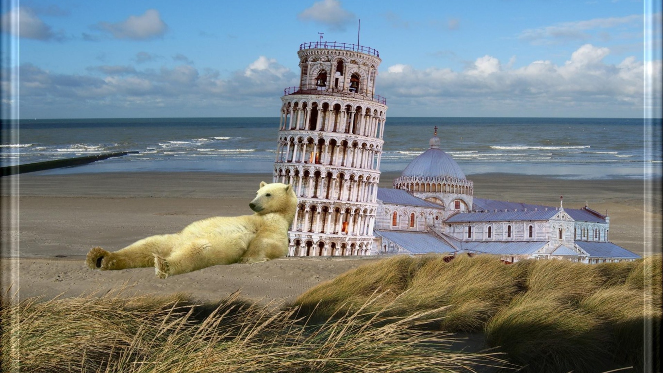 Белый медведь у Пизанской башни