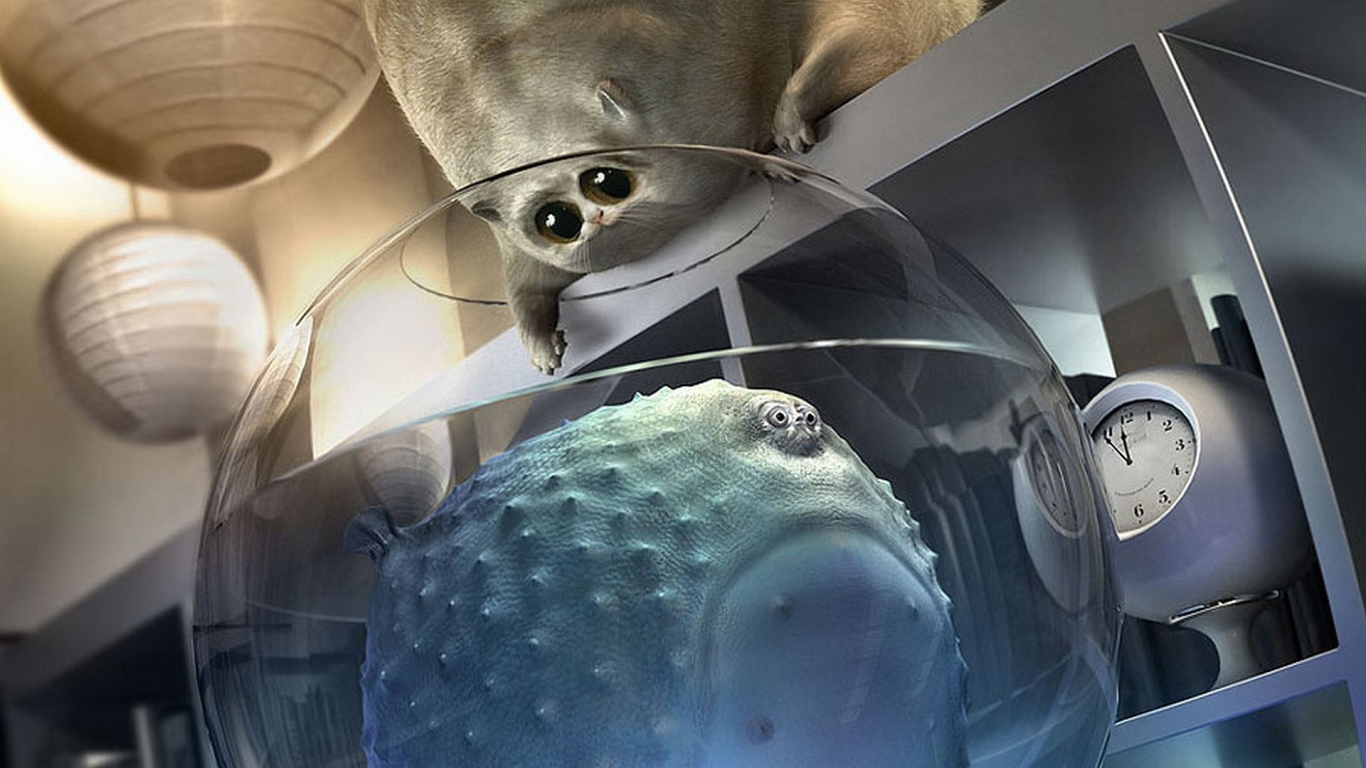 Толстый кот и толстая рыба