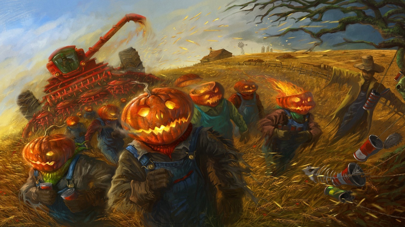 Тыквы убирают урожай