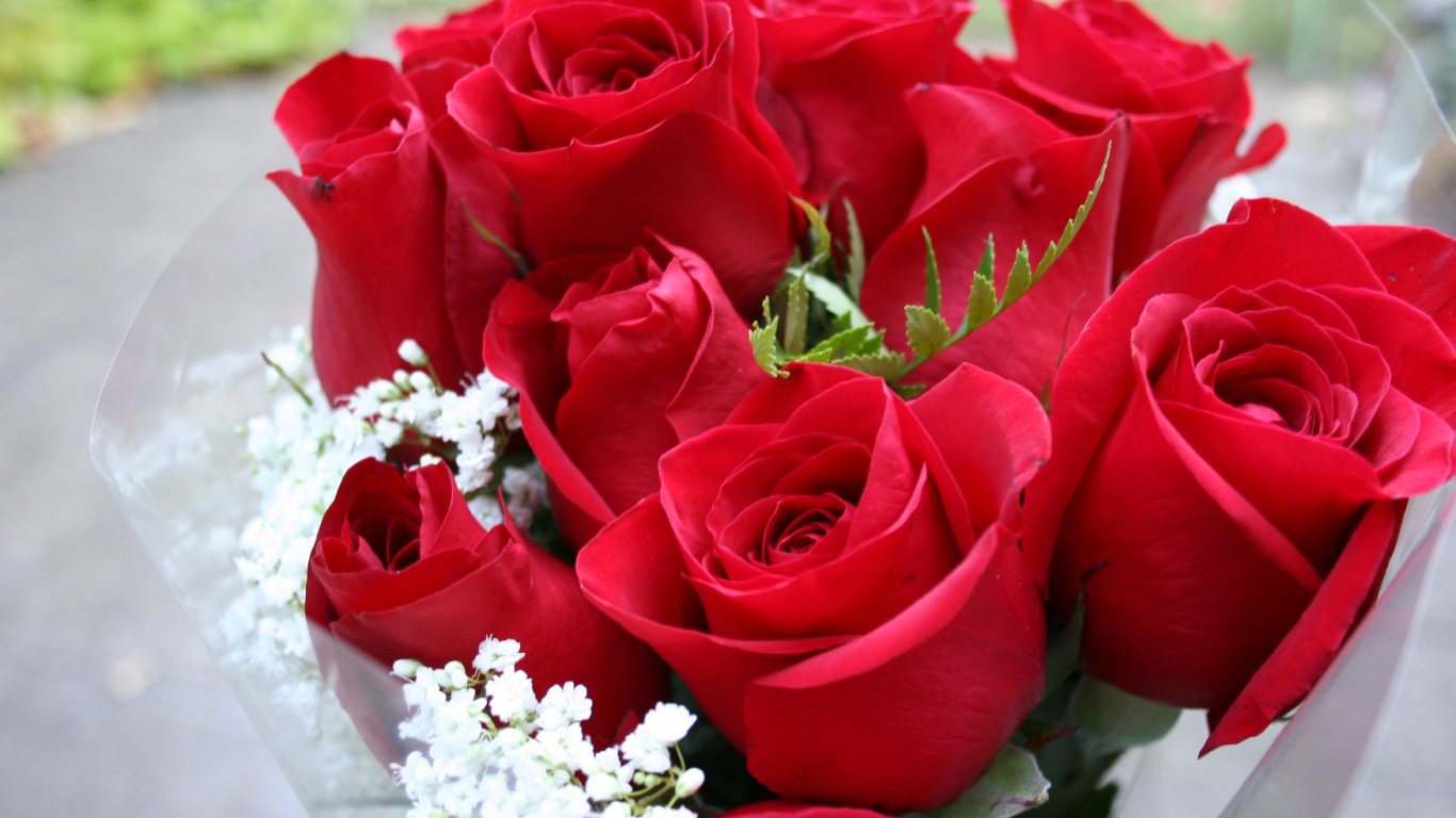 Прекрасный букет красных роз на 8 марта