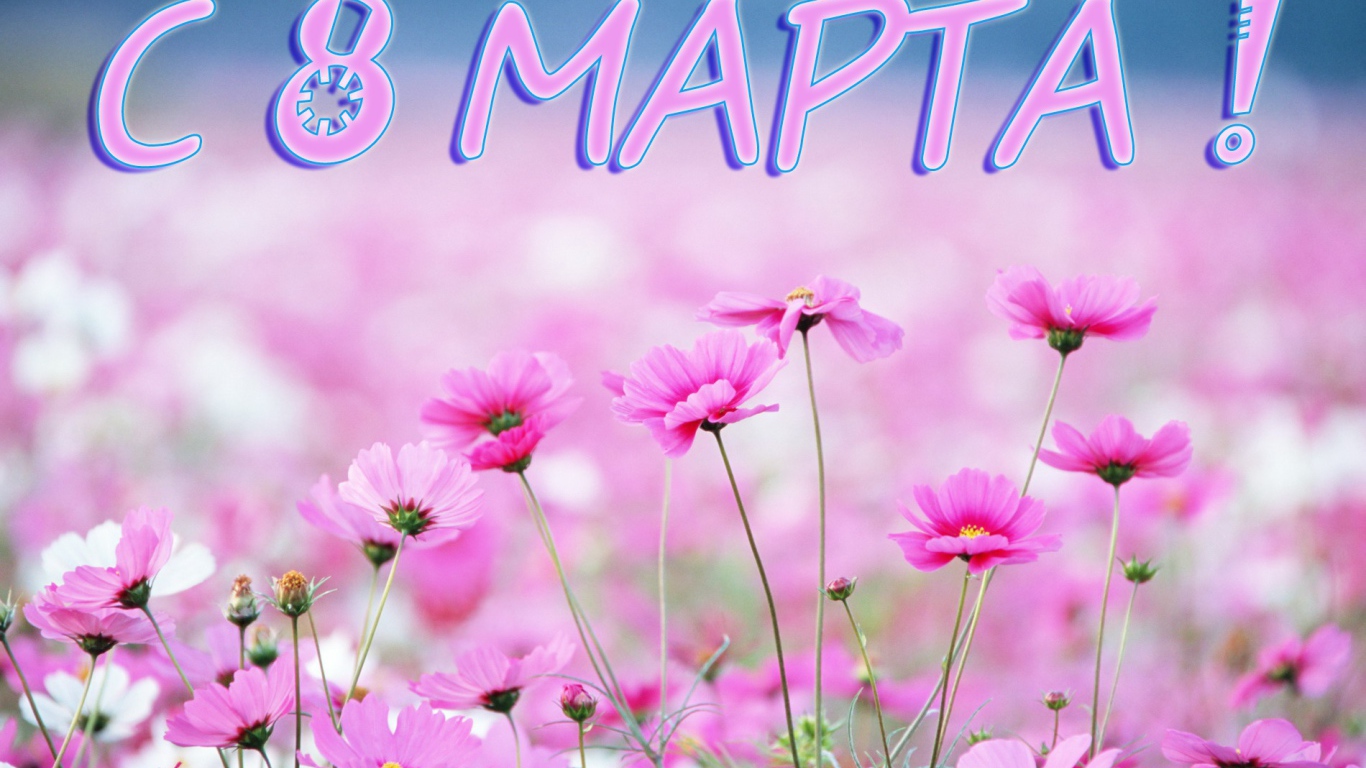 Луговые цветы на 8 марта