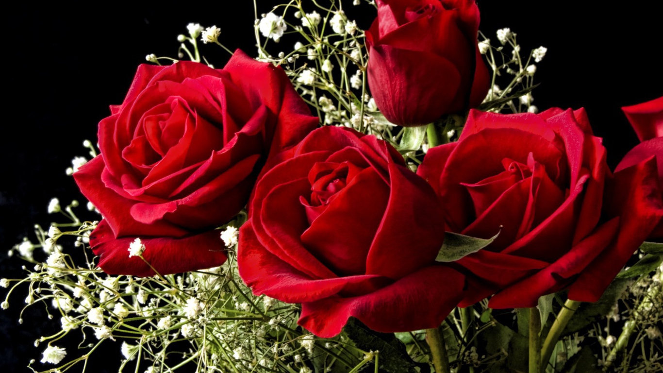 Красные розы на 8 марта на черном фоне