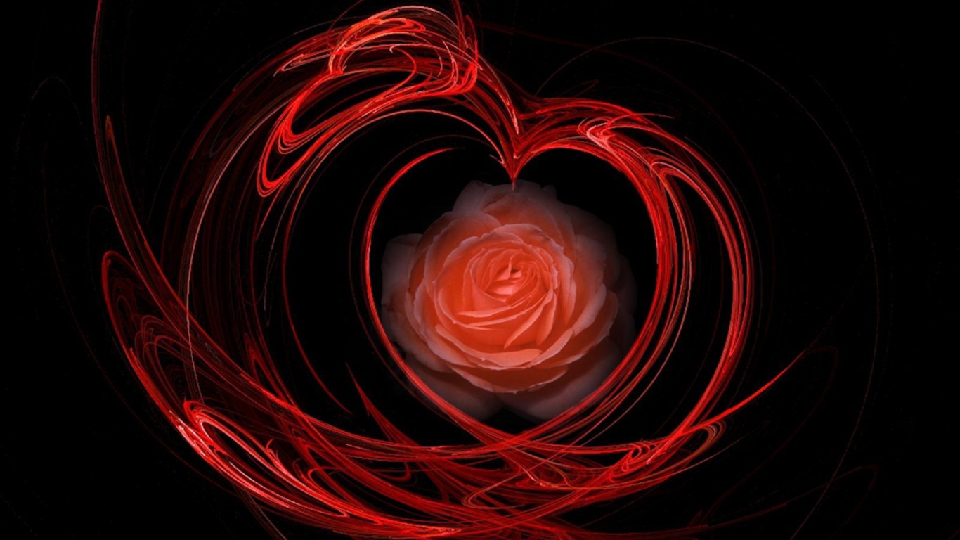 Огненная роза на День Святого Валентина 14 февраля