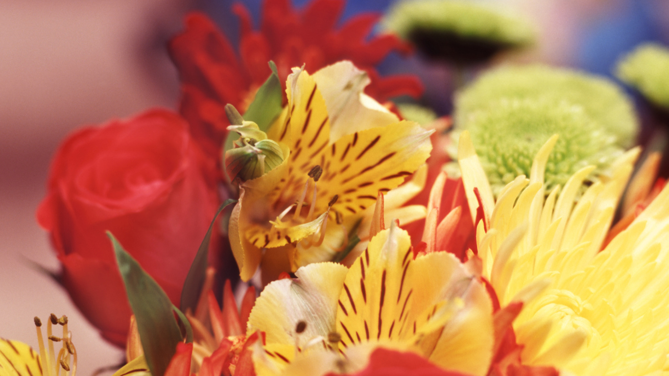 Букет гладиолусов на День знаний 1 сентября