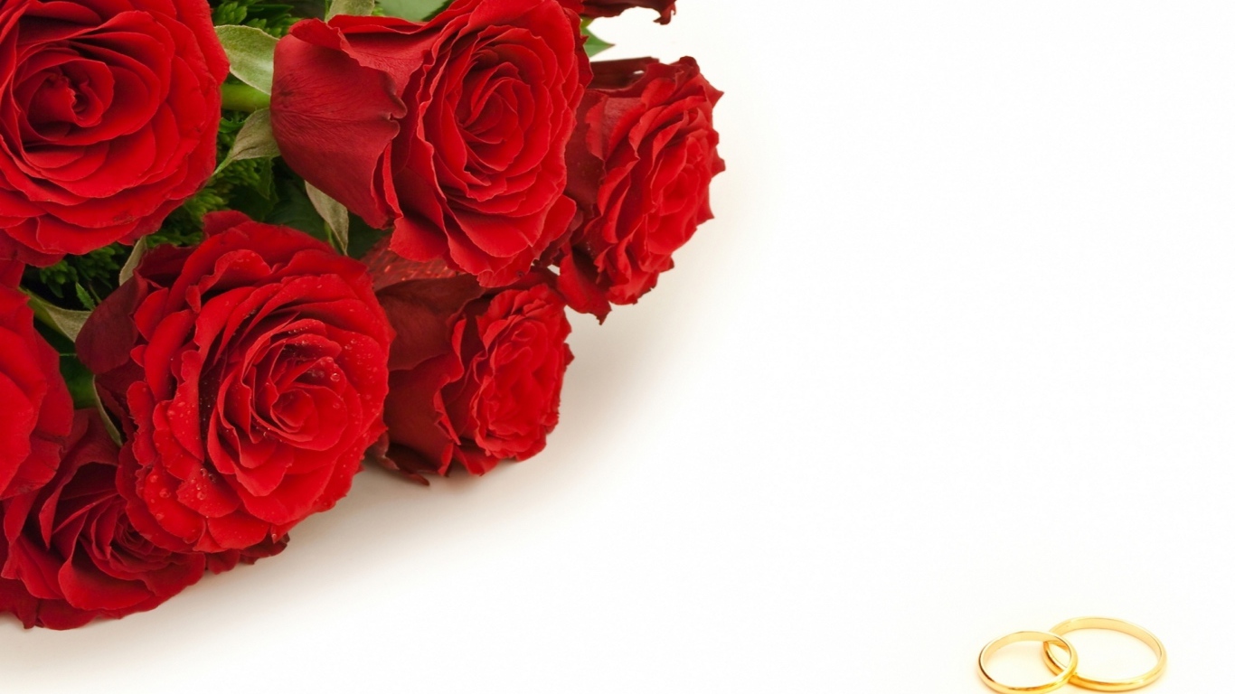 Красные розы и золотые свадебные кольца