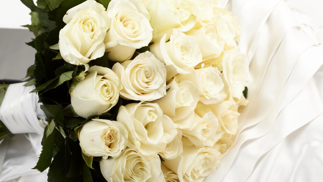 White roses in a bouquet for the bride
