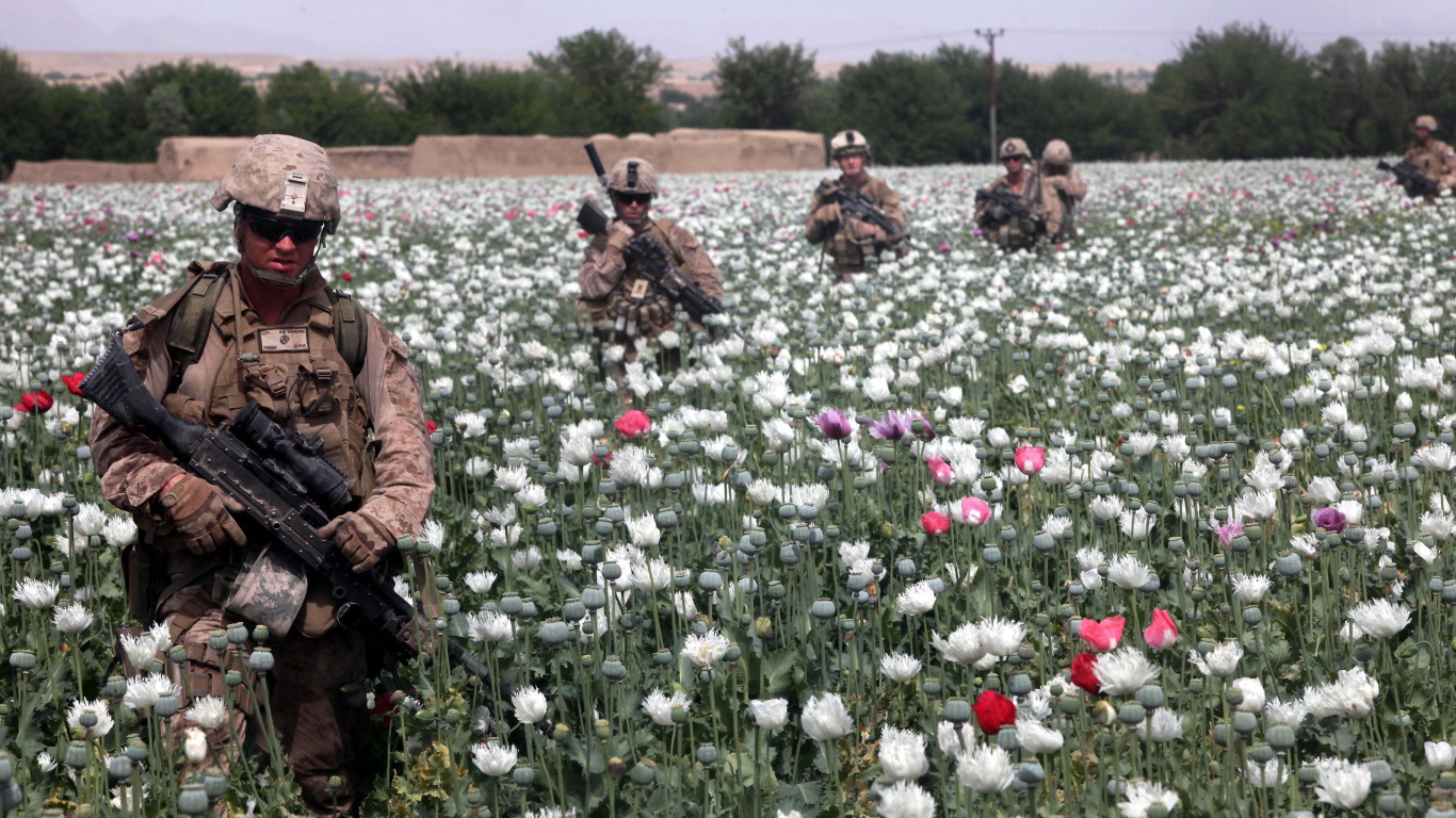 Солдаты на маковом поле