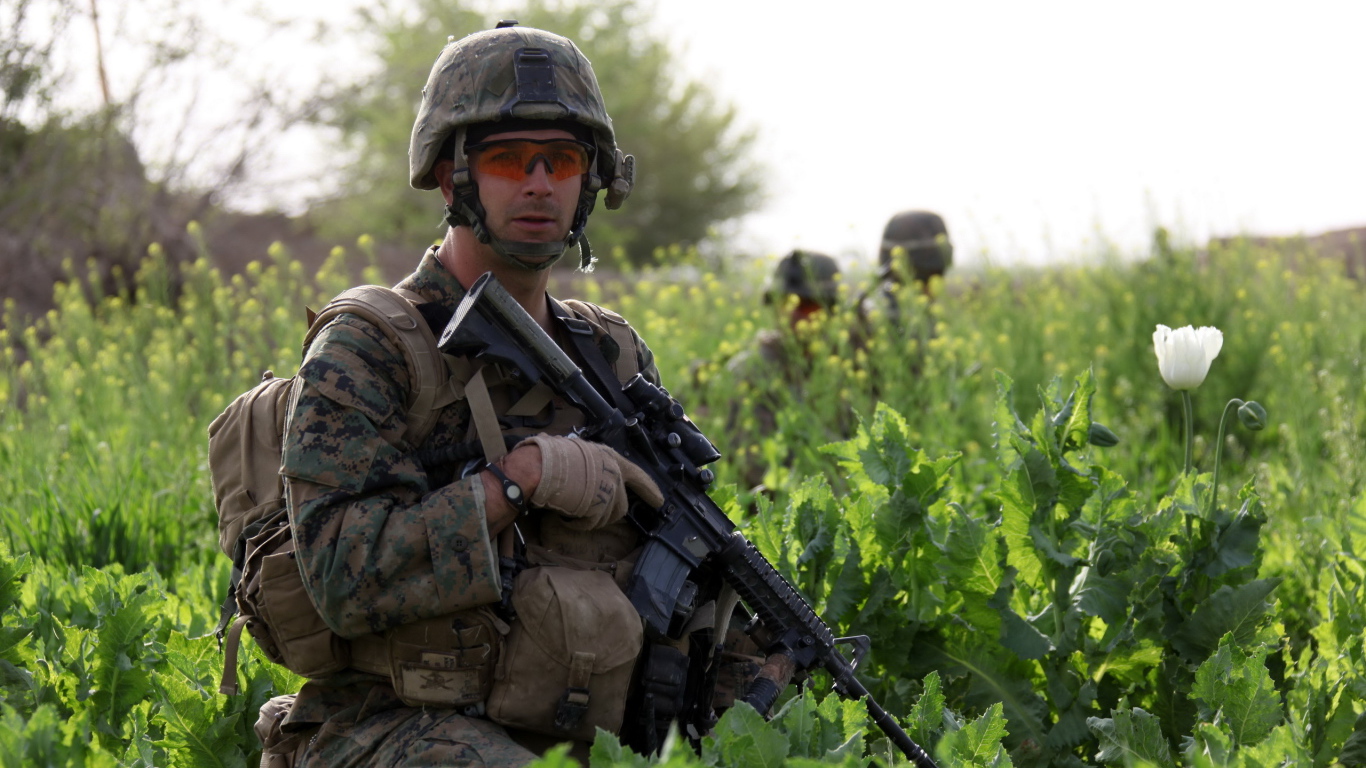 Солдат с винтовкой в траве