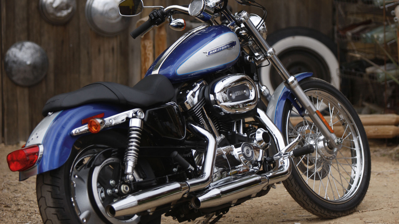 Невероятно быстрый мотоцикл Harley-Davidson XL 1200C Sportster Custom