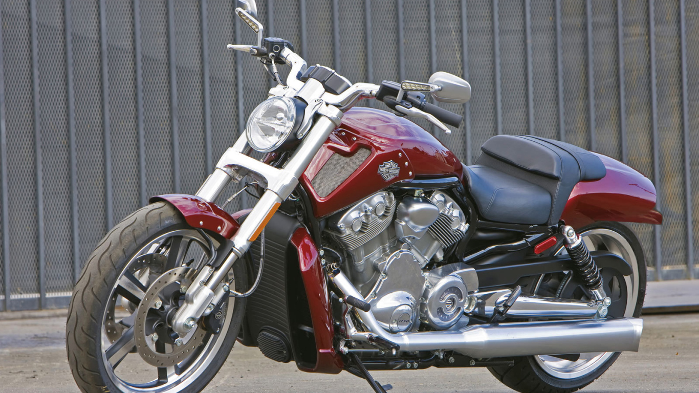 Невероятно быстрый мотоциклHarley-Davidson V-Rod Muscle