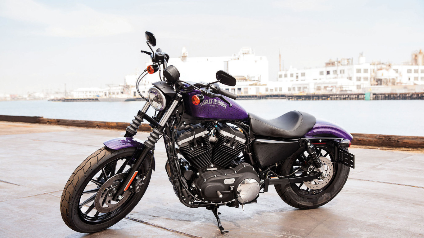 Новый мотоцикл на дороге Harley-Davidson XL 883N Sportster Iron
