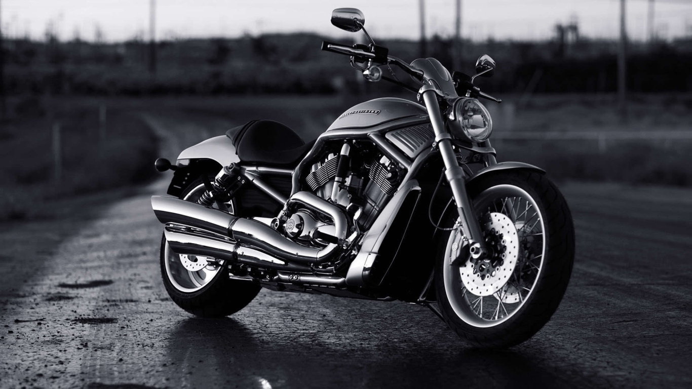 Новый надежный мотоцикл Harley-Davidson V-Rod Muscle