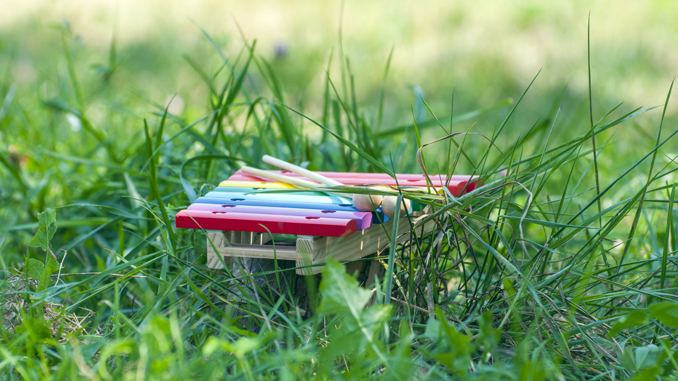 Музыкальный инструмент Маримба