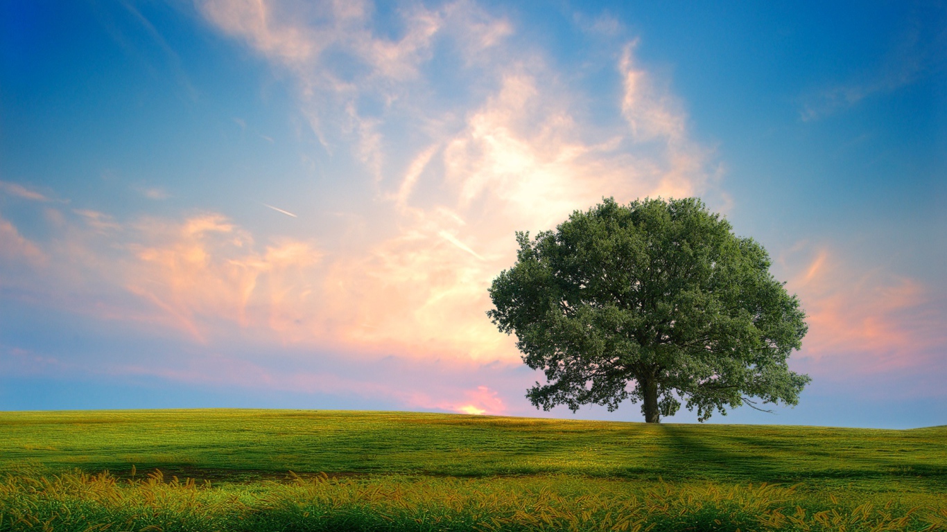 Свежая природа