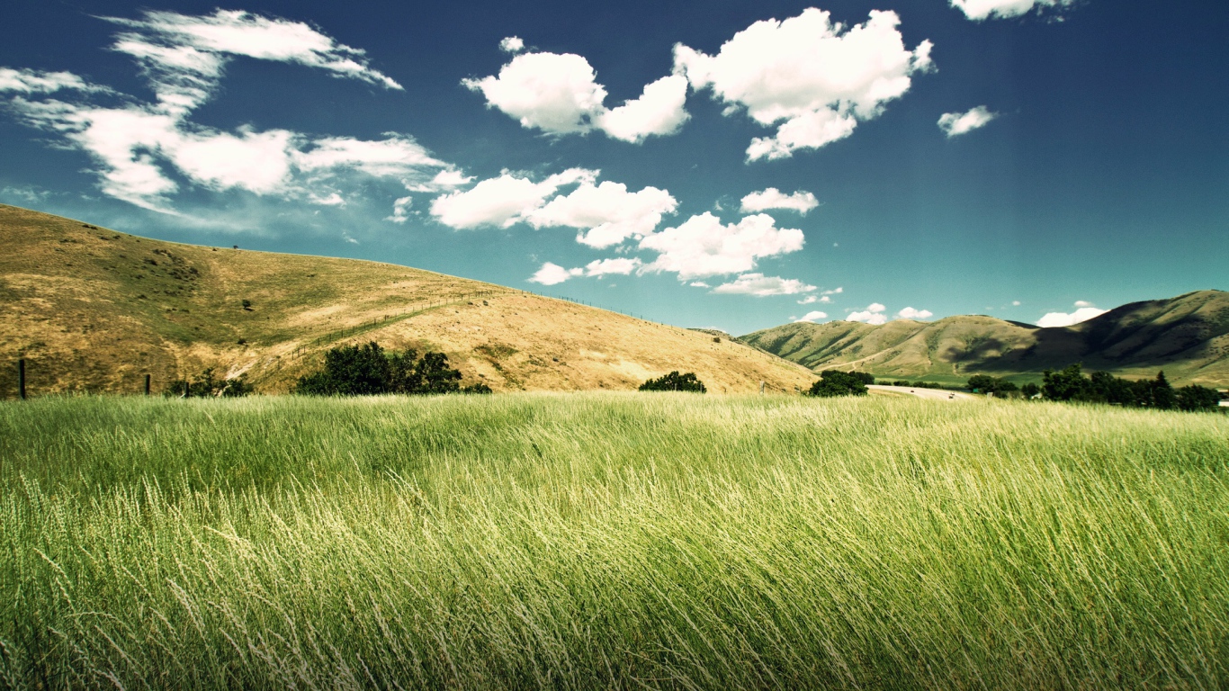 Зеленая долина