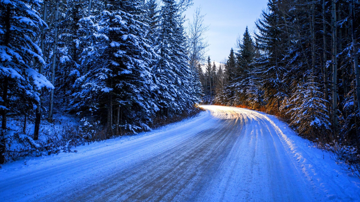 Дорога среди заснеженного леса