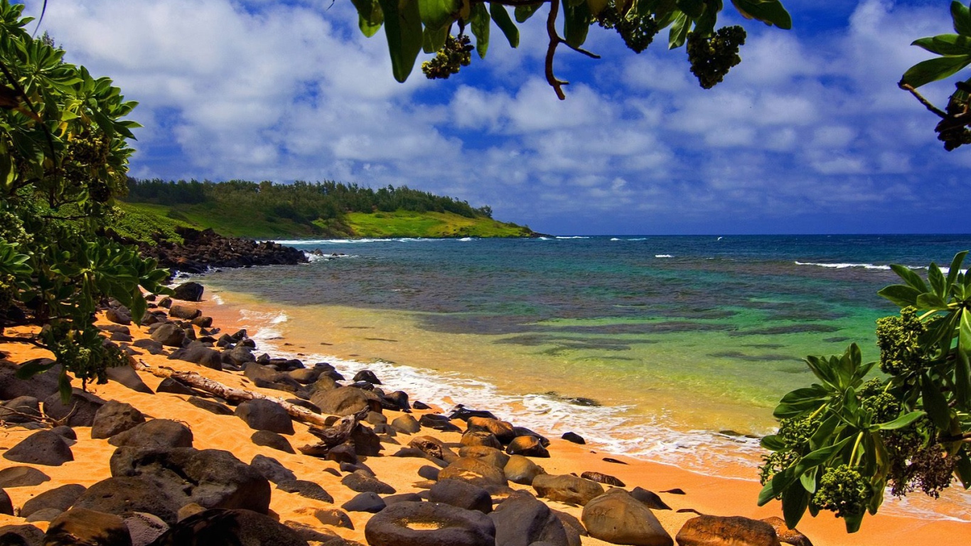 Пляж на Гавайях 