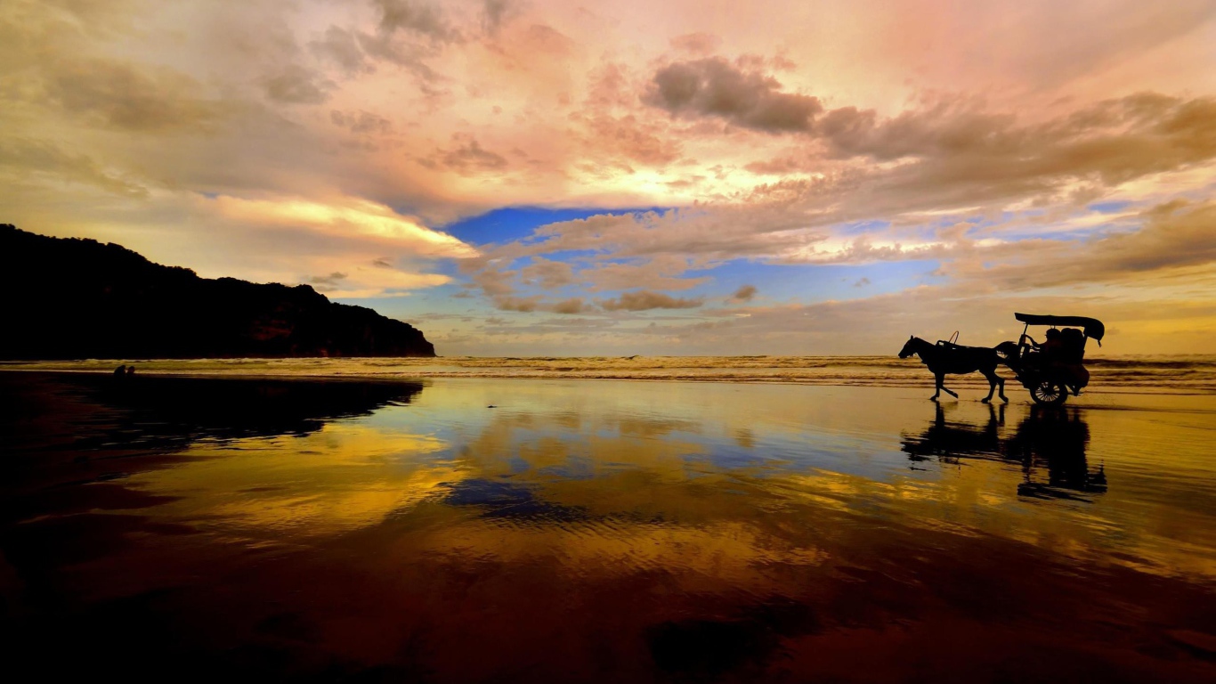 Катание на лошади по пляжу