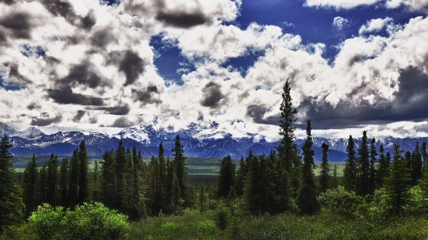 Красивые облака над лесом